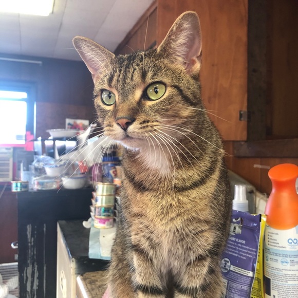 Meet your Posher, Static - Picture 11 of 16